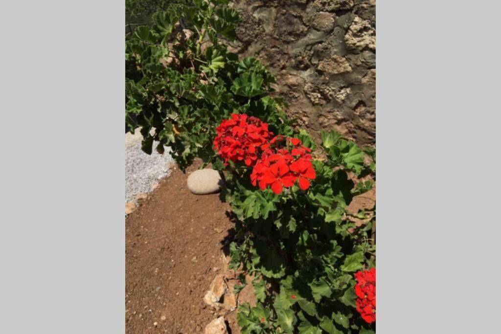 Gerani Maison Agios Aimilianos Beautiful View Porto Heli Exterior foto